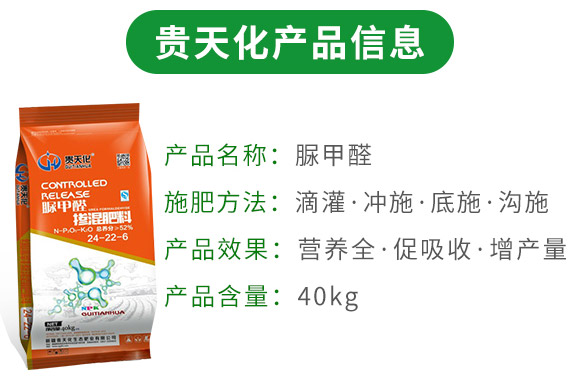 脲甲醛-緩釋摻混肥料24-22-6-貴天化 脲甲醛-緩釋摻混肥料24-22-6-貴天化