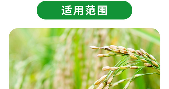 脲甲醛-緩釋摻混肥料24-22-6-貴天化 脲甲醛-緩釋摻混肥料24-22-6-貴天化