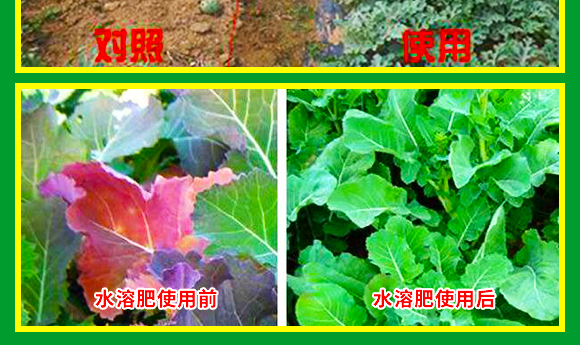 鍏堜赴杈懼啘涓氭湁闄愬叕鍙?_11.jpg 鍏堜赴杈懼啘涓氭湁闄愬叕鍙?_11.jpg