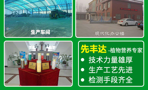 鍏堜赴杈懼啘涓氭湁闄愬叕鍙?_13.jpg 鍏堜赴杈懼啘涓氭湁闄愬叕鍙?_13.jpg