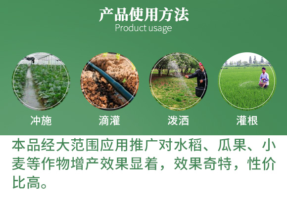 涔欒挏绱犱鉤娌?瀹濈劧鐢熺墿_06.jpg