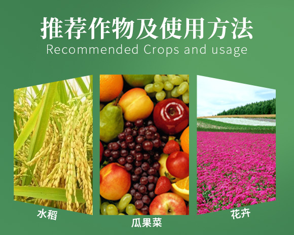 涔欒挏绱犱鉤娌?瀹濈劧鐢熺墿200g_05.jpg