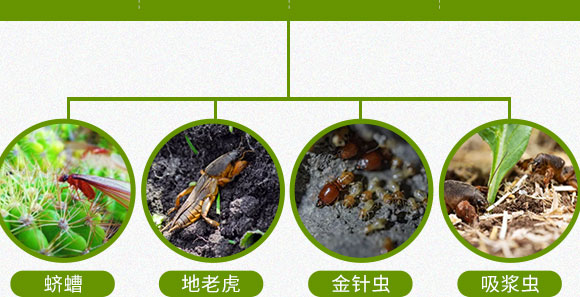 鍗椾含閲戝悏涔嬫槦鍐滀笟縐戞妧鏈夐檺鍏徃_05.jpg 鍗椾含閲戝悏涔嬫槦鍐滀笟縐戞妧鏈夐檺鍏徃_05.jpg