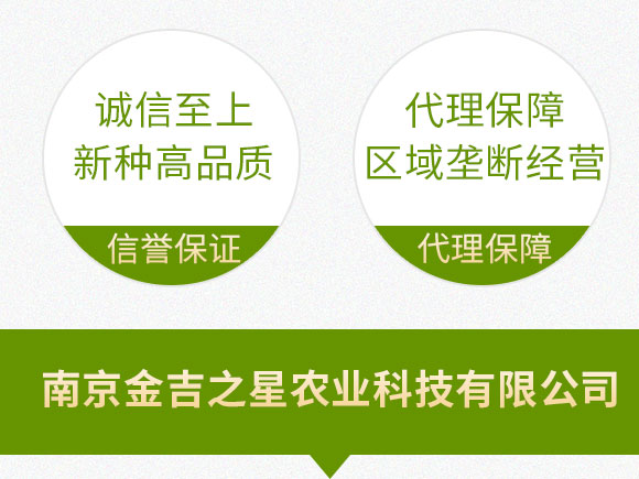 鍗椾含閲戝悏涔嬫槦鍐滀笟縐戞妧鏈夐檺鍏徃_09.jpg 鍗椾含閲戝悏涔嬫槦鍐滀笟縐戞妧鏈夐檺鍏徃_09.jpg
