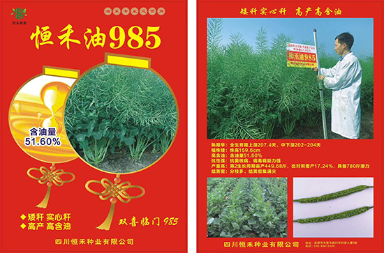 娌硅彍縐嶅瓙-鎭掔娌?85-鎭掔縐嶄笟2.jpg 娌硅彍縐嶅瓙-鎭掔娌?85-鎭掔縐嶄笟2.jpg