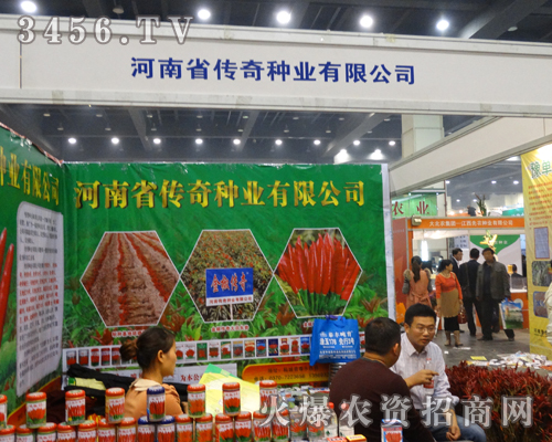 NI(y)ʢb@F(xin)2013＾Nӕ(hu)