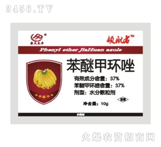 http://m.pkggm.cn/news/1067752.html