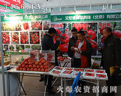 ·NƼ2015INPעȱq