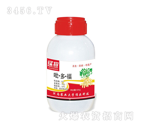 500g˻N-͌