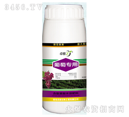 ь(zhun)-׿-