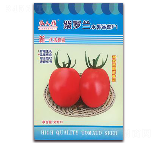 紫羅蘭-番茄種子-華葉