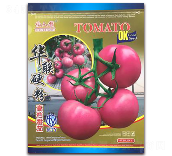 華聯(lián)-番茄種子-華葉
