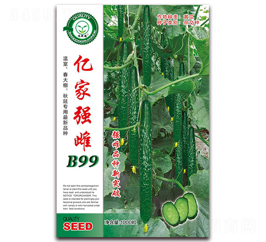 億家強雌B99-黃瓜種子-億家豐