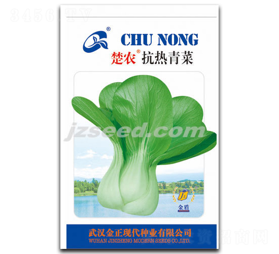 楚農抗熱青菜-小白菜種子-現代種業(yè)