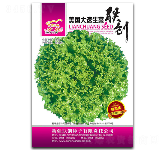 美國大速生-生菜種子-聯(lián)創(chuàng)