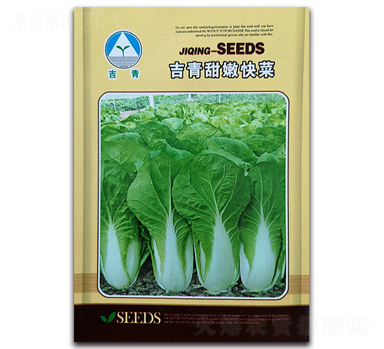 吉青甜嫩快菜-白菜種子-新世紀(jì)