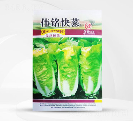 偉銘快菜-白菜種子-偉銘種業(yè)