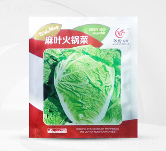 麻葉火鍋菜-白菜種子-偉銘種業(yè)