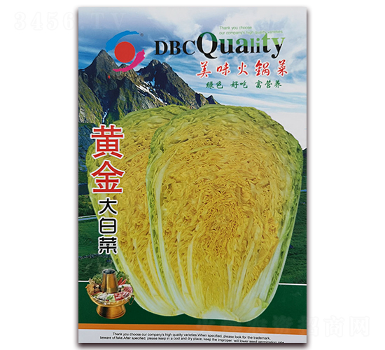 黃金大白菜-白菜種子-新世紀(jì)