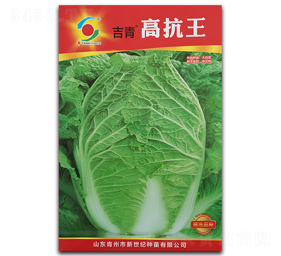 高抗王-白菜種子-新世紀(jì)