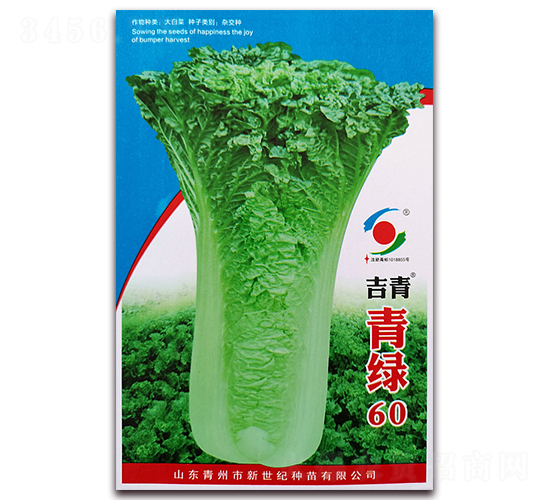 青綠60-白菜種子-新世紀