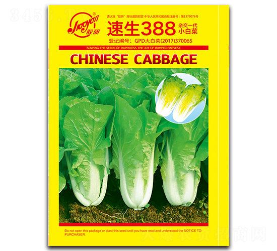 速生388-小白菜種子-膠研