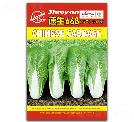 速生668-小白菜種子-膠研