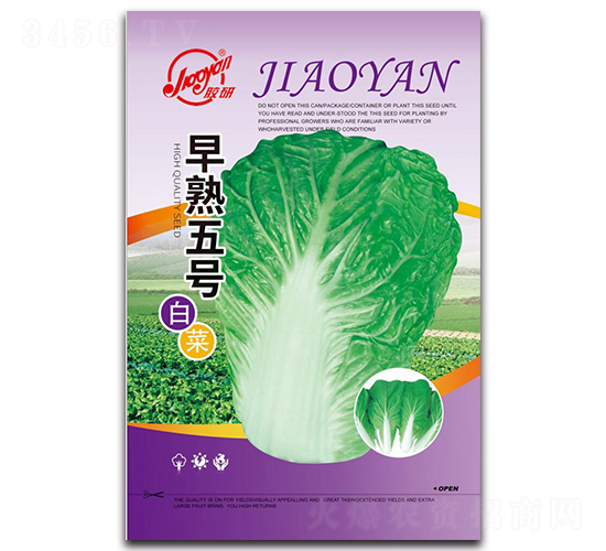 早熟五號白菜-小白菜種子-膠研