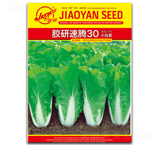 膠研速騰30小白菜-小白菜種子-膠研
