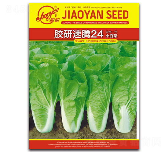 膠研速騰24小白菜-小白菜種子-膠研