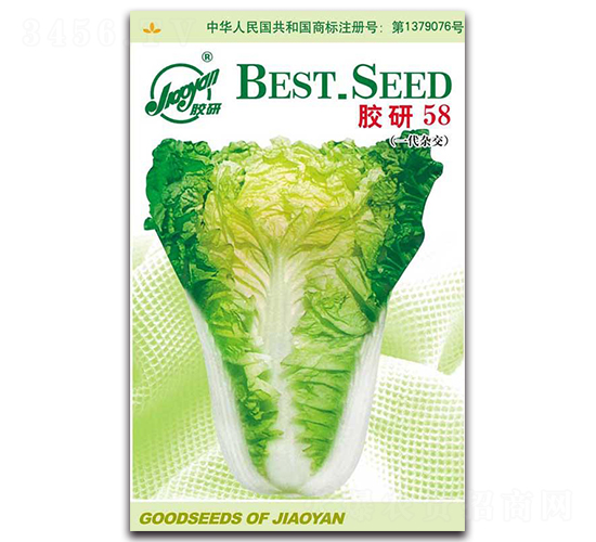 膠研58-秋播白菜種子-膠研
