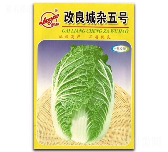 改良城雜五號(hào)-秋播白菜種子-膠研