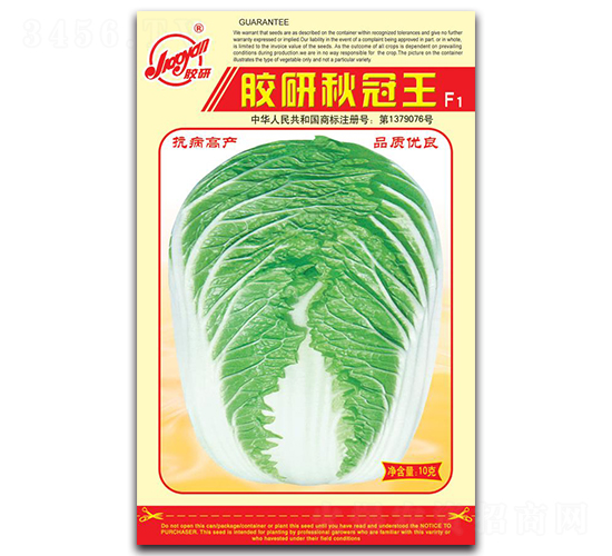 膠研秋冠王-秋播白菜種子-膠研