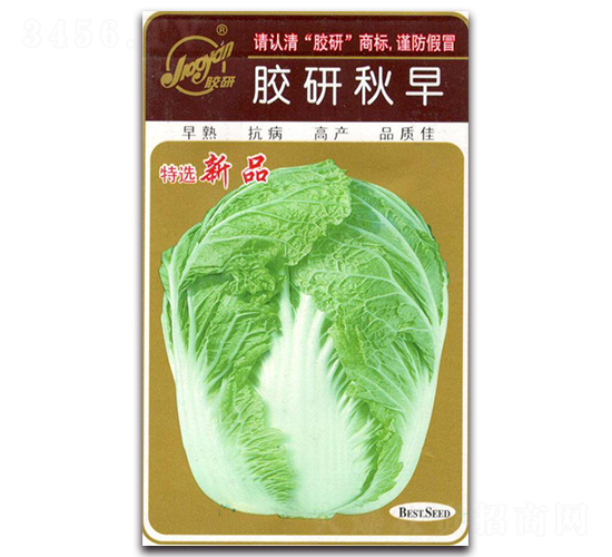 膠研秋早-秋播白菜種子-膠研