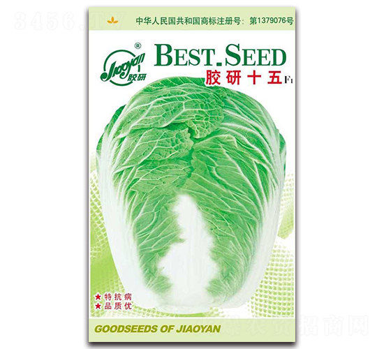 膠研15-秋播白菜種子-膠研