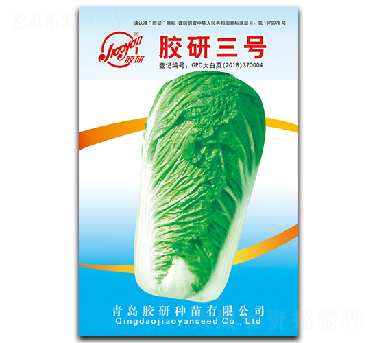 膠研三號(hào)-秋播白菜種子-膠研
