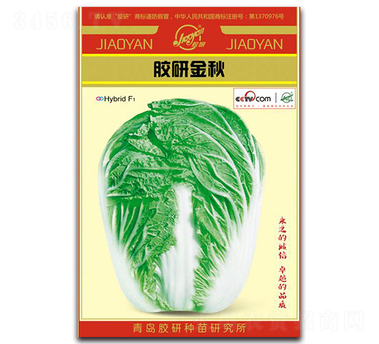 膠研金秋-秋播白菜種子-膠研