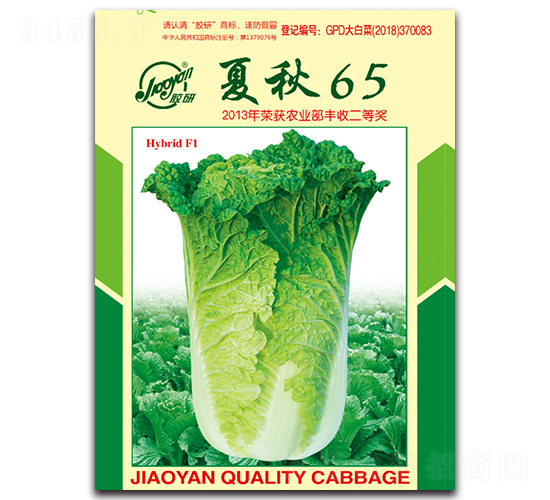 夏秋65-秋播白菜種子-膠研