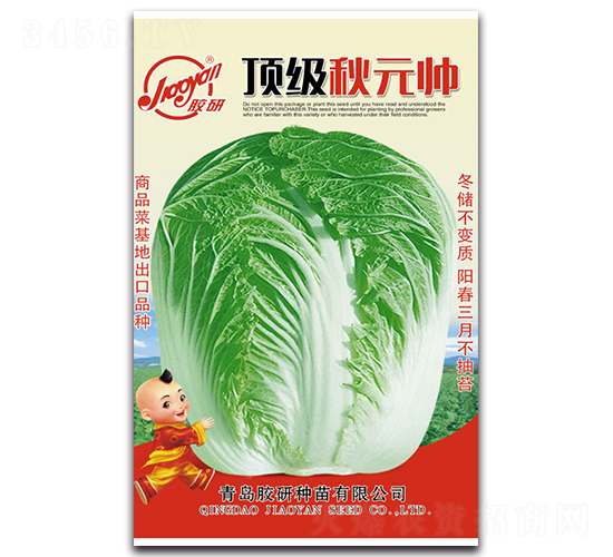 頂級(jí)秋元帥-秋播白菜種子-膠研