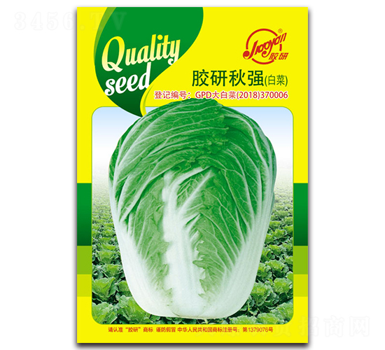 膠研秋強(qiáng)白菜-秋播白菜種子-膠研