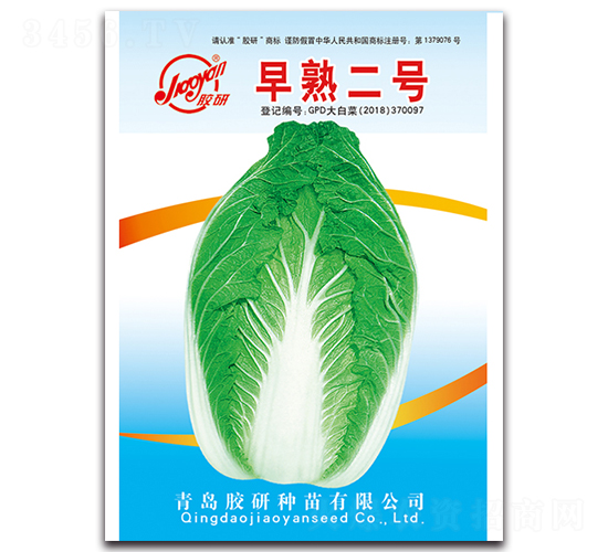 早熟二號-秋播白菜種子-膠研