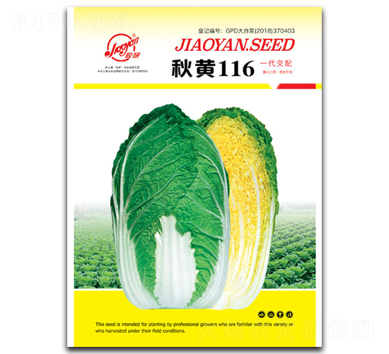 秋黃116-秋播白菜種子-膠研