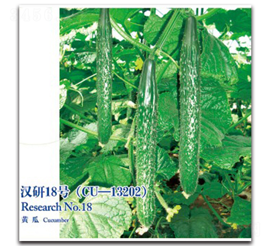 漢研18號黃瓜-黃瓜種子-漢研