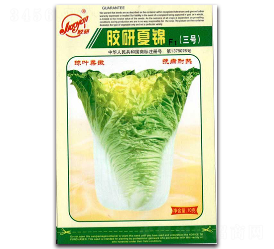 膠研夏錦三號-夏播白菜種子-膠研