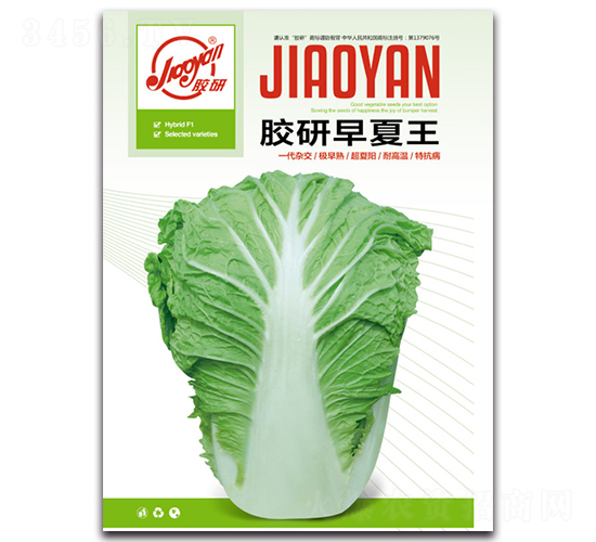 膠研早夏王-夏播白菜種子-膠研