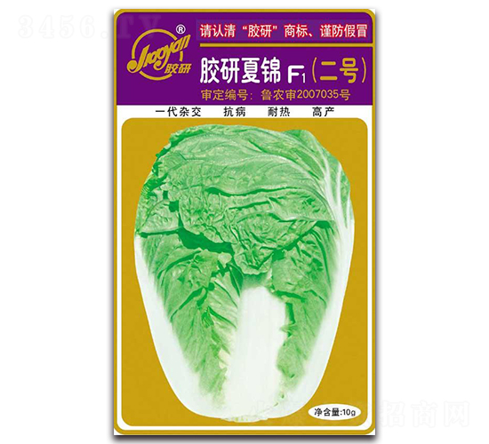 膠研夏錦F1（二號(hào)）-夏播白菜種子-膠研