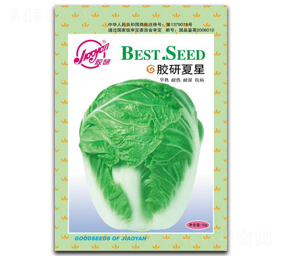 膠研夏星-夏播白菜種子-膠研