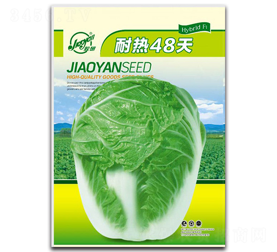 耐熱48天-夏播白菜種子-膠研