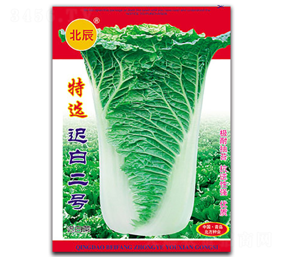 特選遲白二號-遲白菜種子-北方種業(yè)