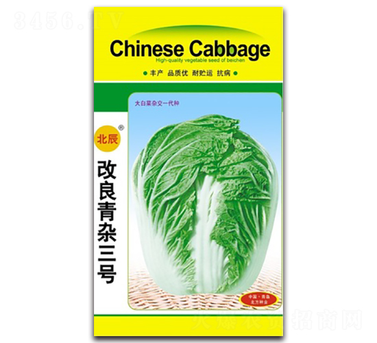 改良青雜三號-大白菜種子-北方種業(yè)